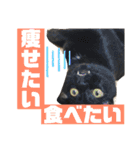 山葵嬢スタンプ～幼少期編～（個別スタンプ：10）