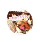 ハムスター兄弟の日常（個別スタンプ：31）