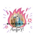 セキセイインコ日常会話スタンプ（個別スタンプ：9）