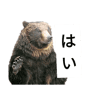 ぬわぁー（個別スタンプ：1）