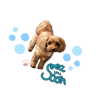 L I L I LY_01（個別スタンプ：5）