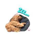 L I L I LY_01（個別スタンプ：7）