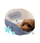 L I L I LY_01（個別スタンプ：8）