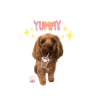 L I L I LY_01（個別スタンプ：12）