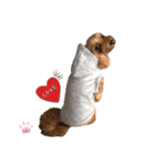 L I L I LY_01（個別スタンプ：15）