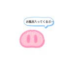 日常的に使える！ ぶたの鼻スタンプ（個別スタンプ：5）