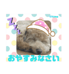 がんばれ！姫ちゃん2（個別スタンプ：12）