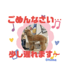 がんばれ！姫ちゃん2（個別スタンプ：13）