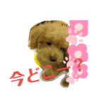 がんばれ！姫ちゃん2（個別スタンプ：21）