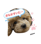 がんばれ！姫ちゃん2（個別スタンプ：22）