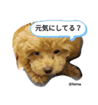 がんばれ！姫ちゃん2（個別スタンプ：23）
