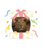 使える動物シリーズ（個別スタンプ：8）