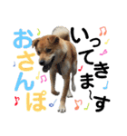 マルのきもち（個別スタンプ：2）