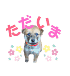 マルのきもち（個別スタンプ：7）