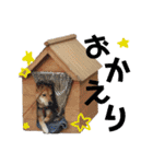 マルのきもち（個別スタンプ：8）