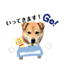 マルのきもち（個別スタンプ：9）