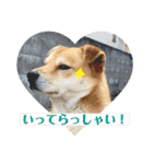マルのきもち（個別スタンプ：10）