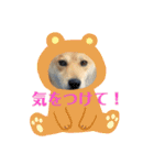マルのきもち（個別スタンプ：19）