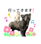 三毛猫ゆめちゃを（個別スタンプ：9）