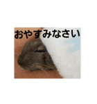 デグーのごんた君（個別スタンプ：7）