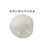 スカシカシパン（個別スタンプ：1）