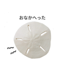スカシカシパン（個別スタンプ：4）