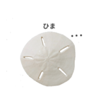 スカシカシパン（個別スタンプ：5）
