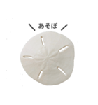 スカシカシパン（個別スタンプ：6）