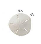 スカシカシパン（個別スタンプ：7）