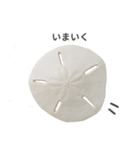 スカシカシパン（個別スタンプ：8）