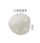 スカシカシパン（個別スタンプ：9）