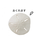 スカシカシパン（個別スタンプ：11）