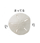スカシカシパン（個別スタンプ：12）