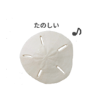 スカシカシパン（個別スタンプ：13）