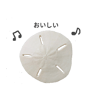 スカシカシパン（個別スタンプ：14）
