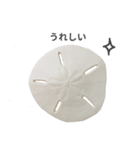 スカシカシパン（個別スタンプ：15）