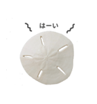 スカシカシパン（個別スタンプ：16）