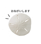 スカシカシパン（個別スタンプ：20）