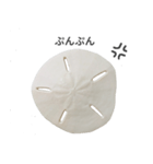 スカシカシパン（個別スタンプ：21）