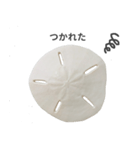 スカシカシパン（個別スタンプ：22）