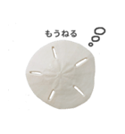 スカシカシパン（個別スタンプ：23）