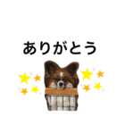 くんた（個別スタンプ：2）