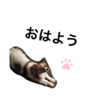 くんた（個別スタンプ：6）