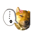 豆柴るるかんpart2（個別スタンプ：18）