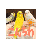 れんこん動物園（個別スタンプ：1）