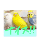 れんこん動物園（個別スタンプ：2）