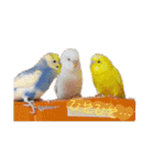 れんこん動物園（個別スタンプ：5）