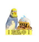 れんこん動物園（個別スタンプ：7）