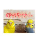 れんこん動物園（個別スタンプ：9）