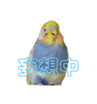 れんこん動物園（個別スタンプ：11）